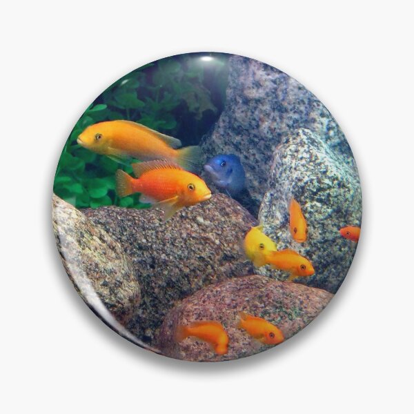 Item preview, Therapy Fish Are Camera Shy designed and sold by MarjorieB.