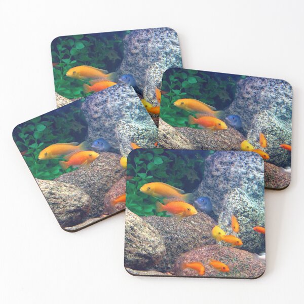 Item preview, Therapy Fish Are Camera Shy designed and sold by MarjorieB.