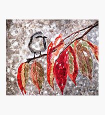 The First Snow Photographic Print