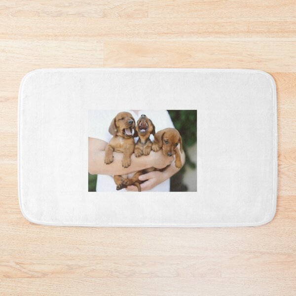 Item preview, Photo of Dachshund Puppies That Are So Cute, I’m Having Trouble Breathing Normally designed and sold by Dharmpreet Kaur.