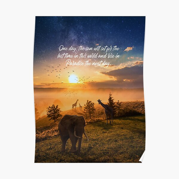 Sunrise In Paradise Poster