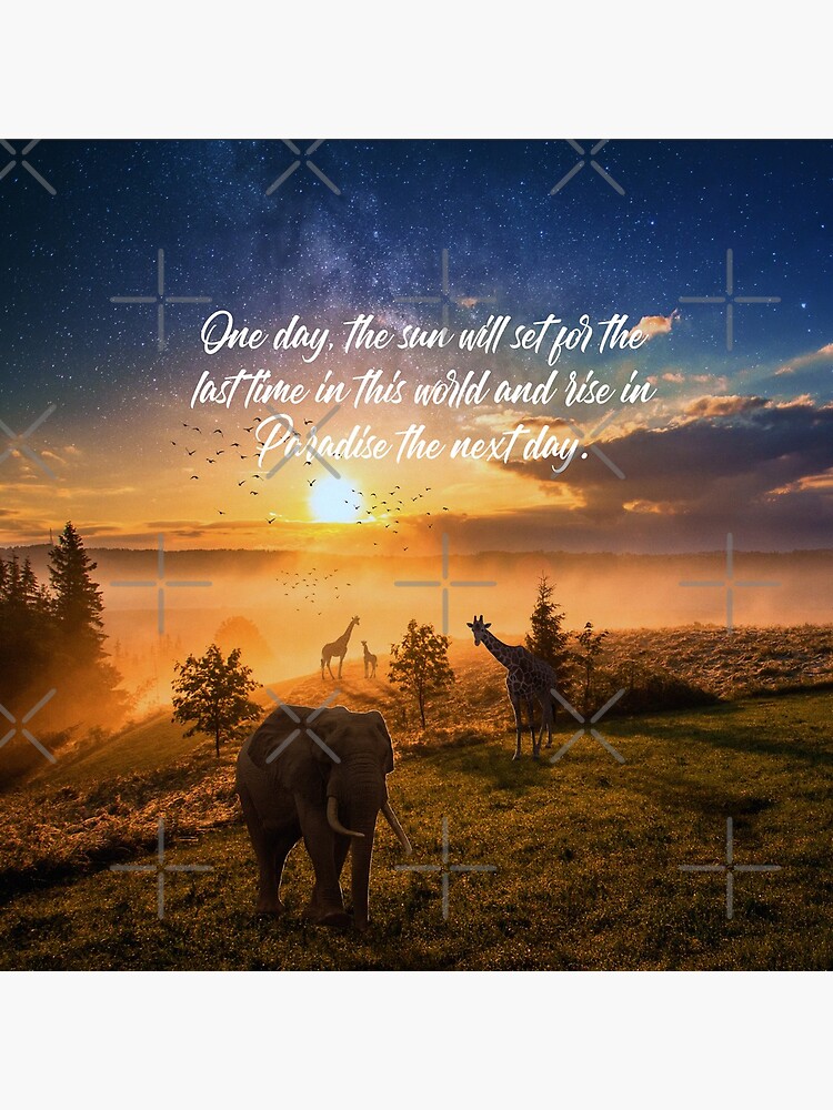 Sunrise In Paradise by JenielsonDesign