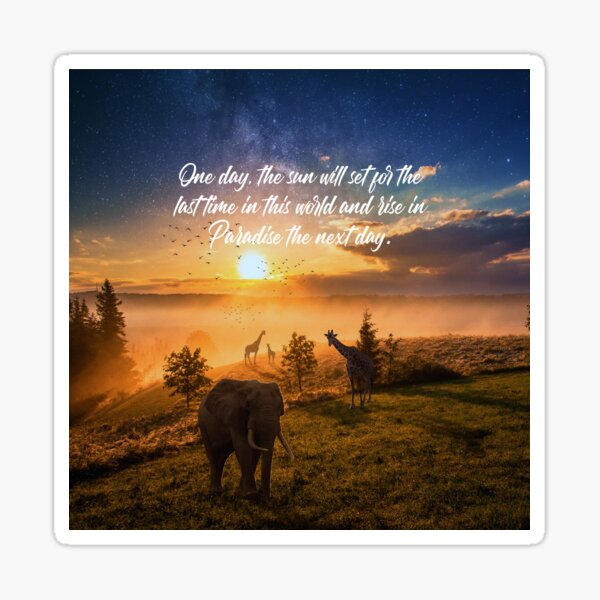 Sunrise In Paradise Sticker