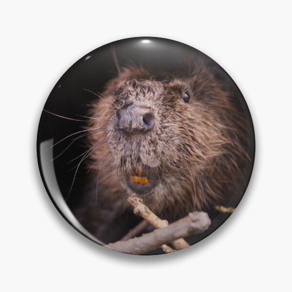 Item preview, Beaver Believer designed and sold by brittanyapp.