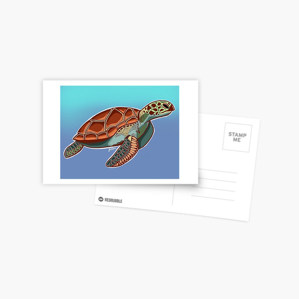 6 Sea Turtles Procreate Brush Stamps. Ocean Turtle (2439325)