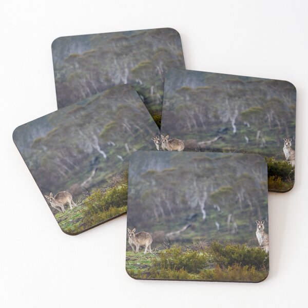 Item preview, MATES designed and sold by AcaciaStudio.