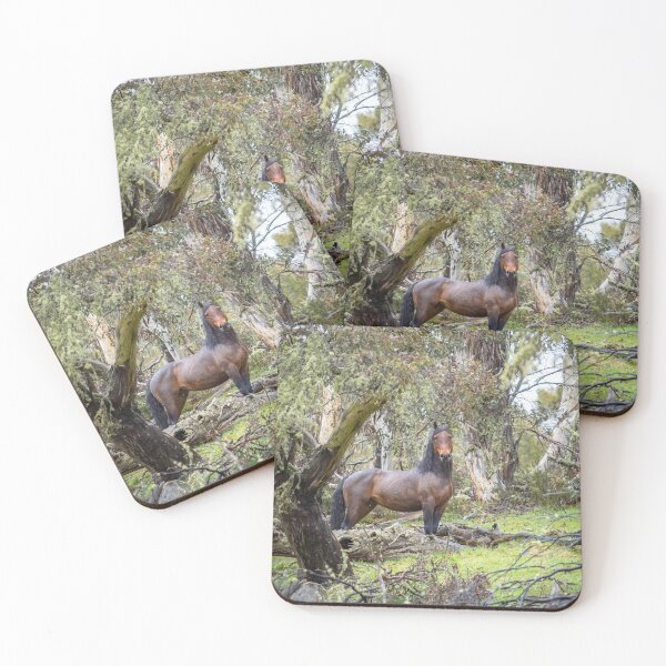 Item preview, BRUMBY designed and sold by AcaciaStudio.