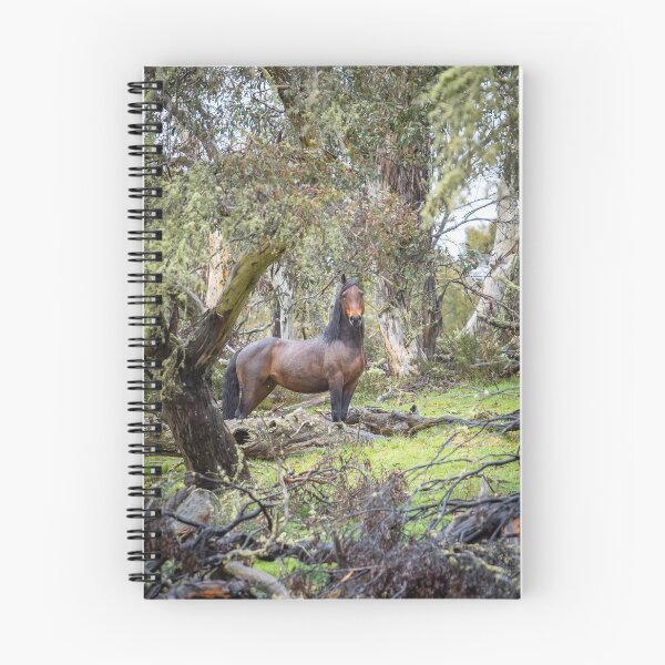 Item preview, BRUMBY designed and sold by AcaciaStudio.