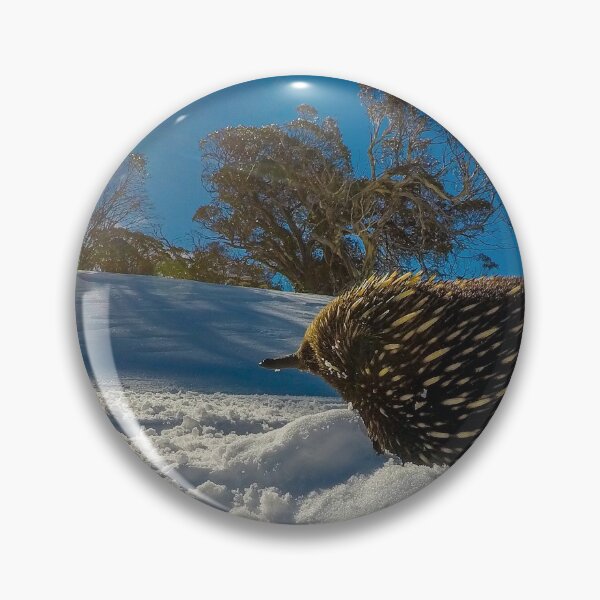 Item preview, SNOW ECHIDNA 2 designed and sold by AcaciaStudio.
