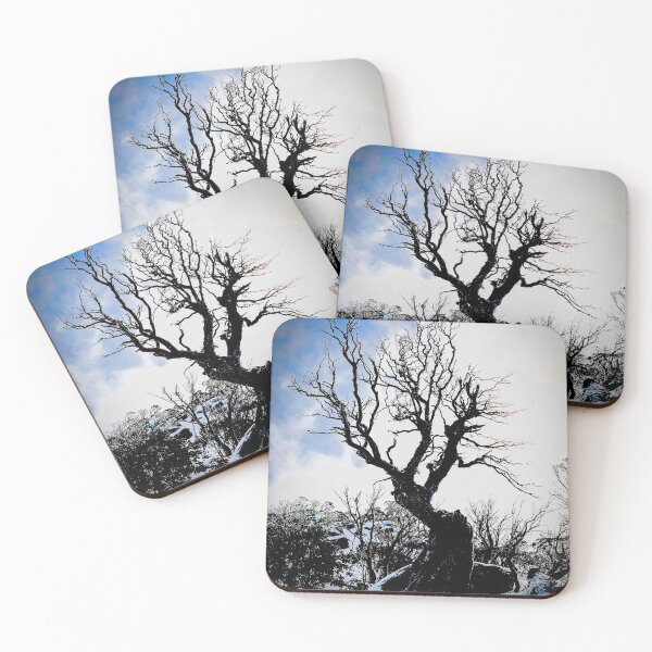 Item preview, OLD SNOWGUM designed and sold by AcaciaStudio.