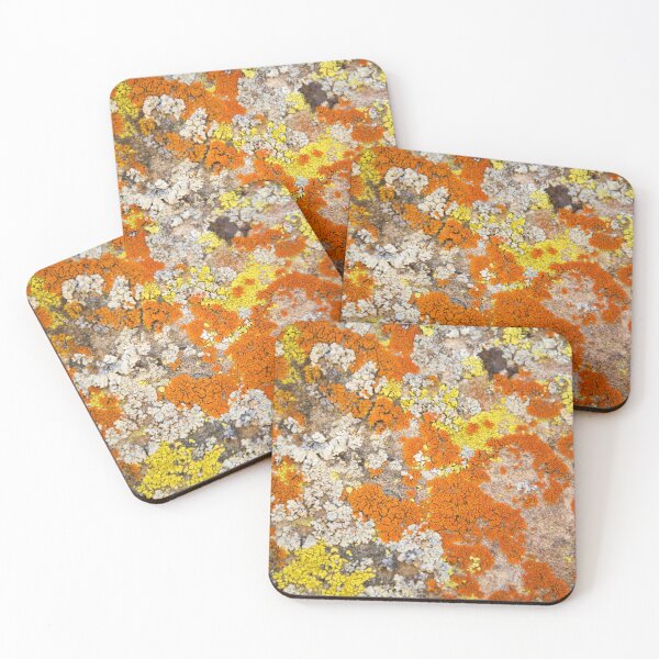 Item preview, Lichen It or Not designed and sold by brittanyapp.
