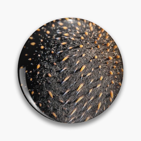 Item preview, PRICKLEY designed and sold by AcaciaStudio.