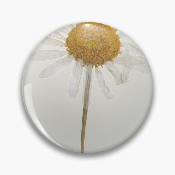 Item preview, Dried daisy vintage  designed and sold by Nyanko-Sempai.
