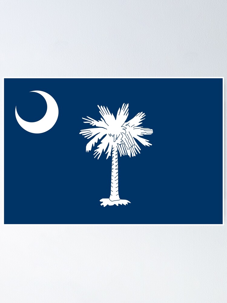 Vintage South Carolina Flag Palmetto Moon Hoodie