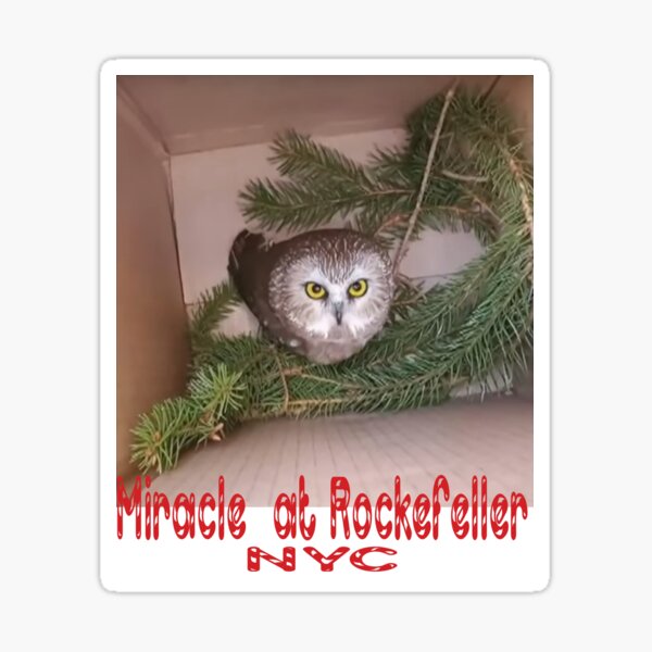 Rockefeller Center Gifts Merchandise Redbubble