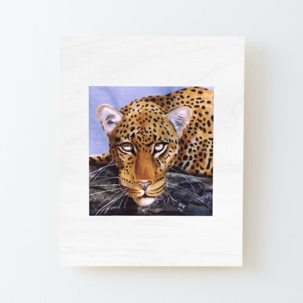 Leopardos de gran tamaño en los árboles de África cuadro lienzo A1 