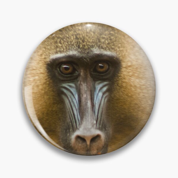 Item preview, gelada baboon designed and sold by Kerrie-Ann Ellison.