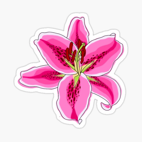 Artikel-Vorschau von Rosa Lilly, designt und verkauft von Hippydipsht.