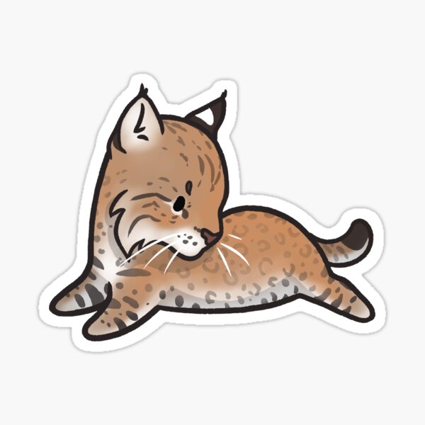 Vista previa del artículo con la obra «Frijoles animales - Bobcat», diseñado y vendido por Asterwild.