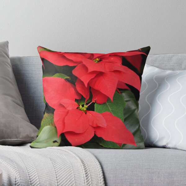 Poinsettia Throw Pillow