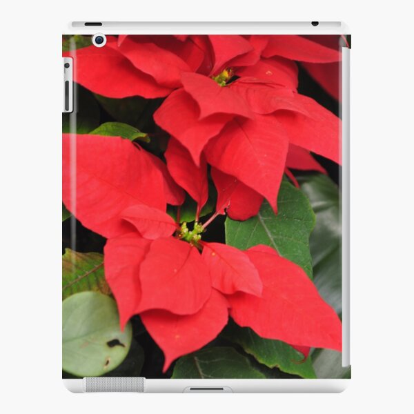 Poinsettia iPad Snap Case