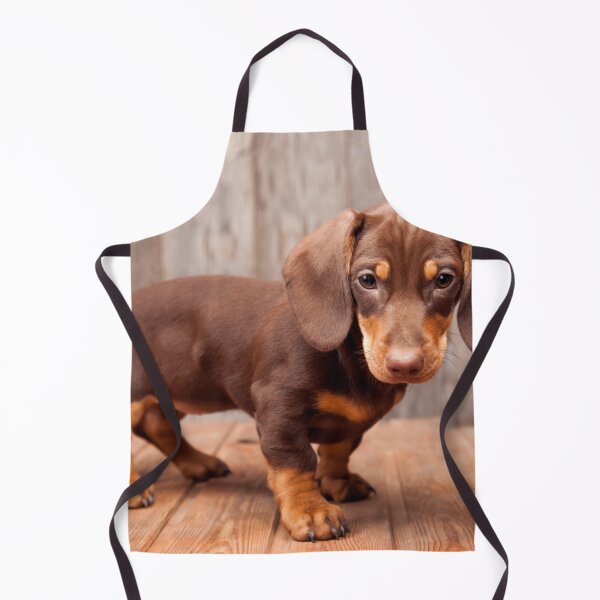 Item preview, Cute Dachshund Adorable Puppy designed and sold by treasure-crafts.