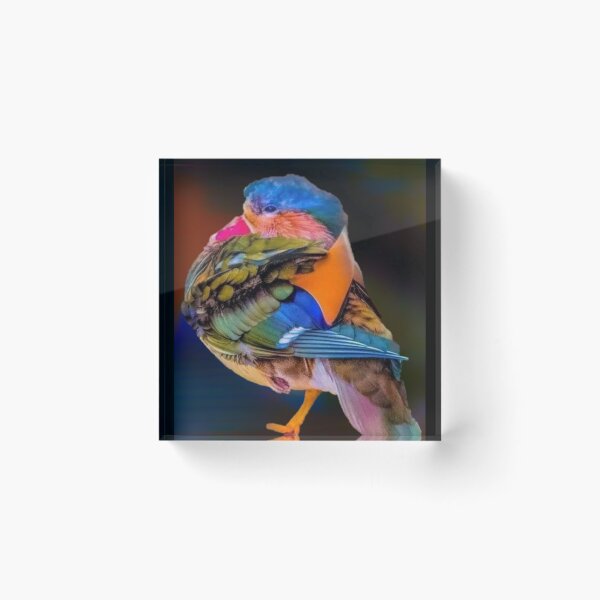 Item preview, South African Lilac Breasted Roller designed and sold by Maddie4Real.