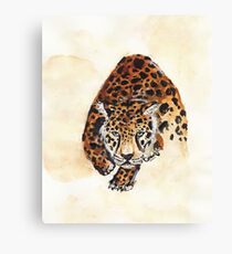 Leopard Canvas Print