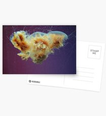Swimming in a Purple Haze. Postcards