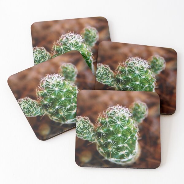 Aperçu de l'œuvre Petit cactus créée et vendue par Lee's Place.