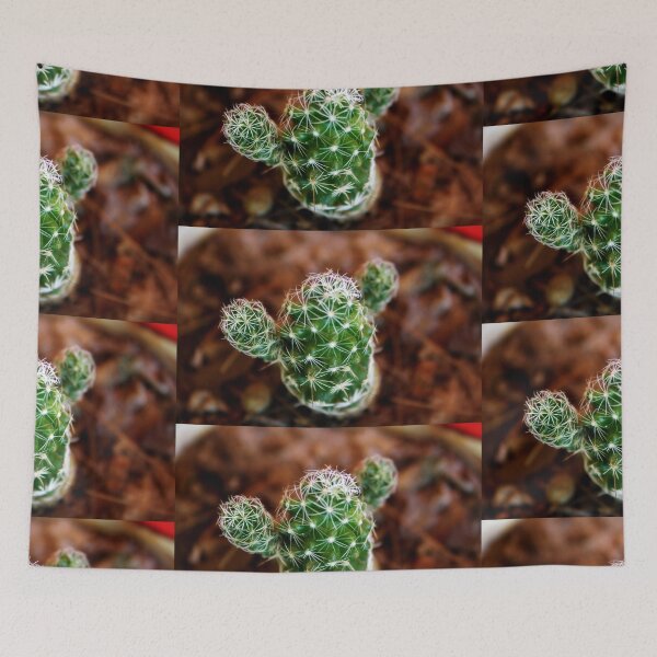 Aperçu de l'œuvre Petit cactus créée et vendue par Lee's Place.
