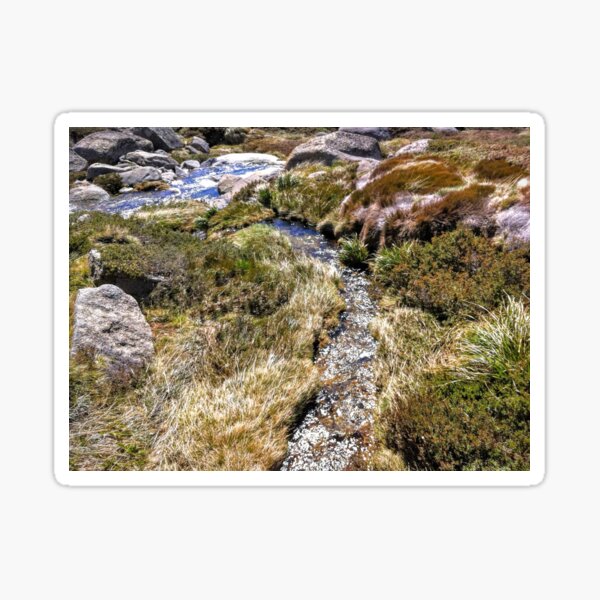 Item preview, Kosciuszko Summer Thaw designed and sold by eidann.