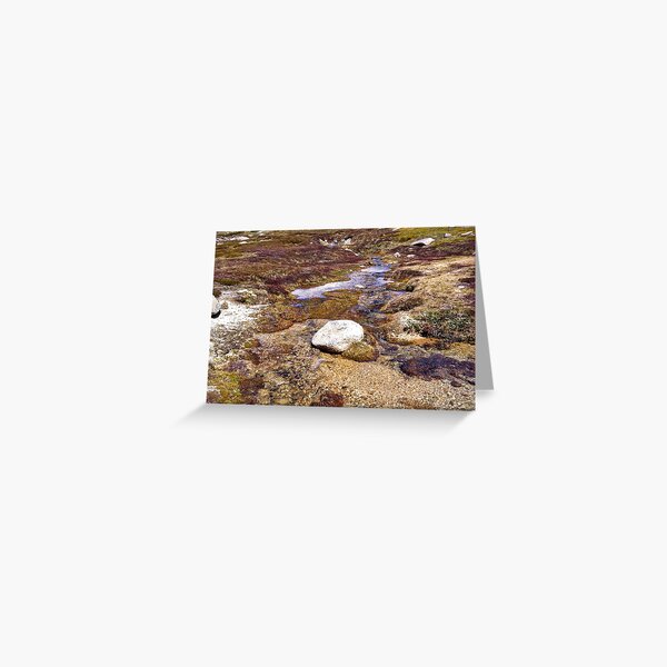Item preview, Patient Rock, Running Stream designed and sold by eidann.
