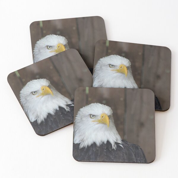 Item preview, American white headed eagle   designed and sold by Gaynor-dI.