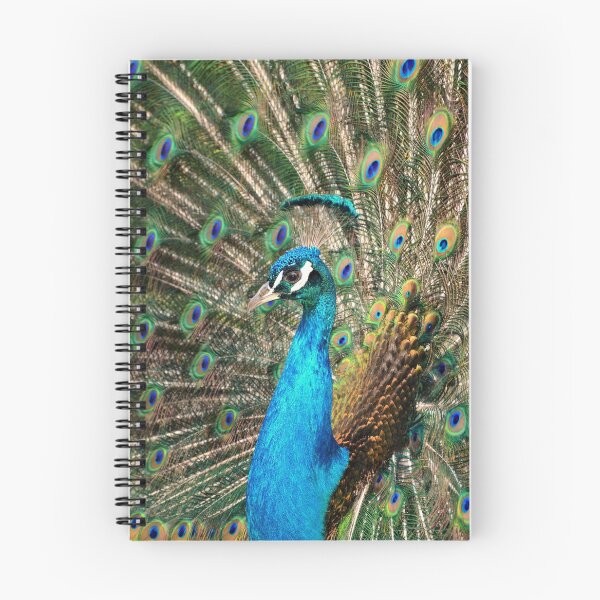 Item preview, The peacock designed and sold by Claudia-Evans.