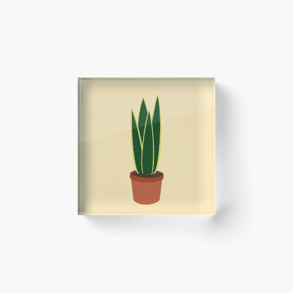 Item preview, Snake plant Sansevieria house plant designed and sold by Lmarrsh.