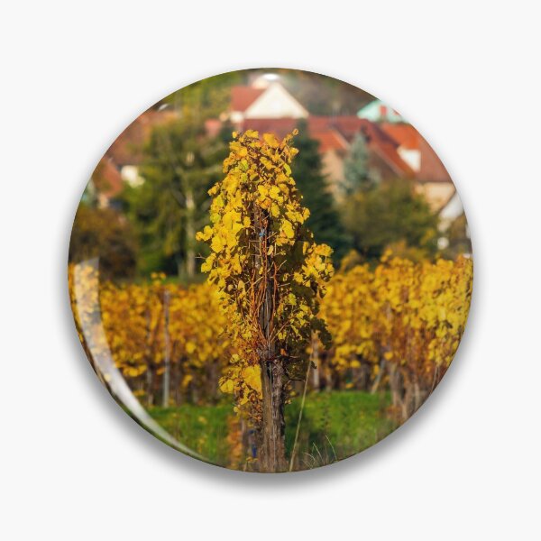 Item preview, Yellow and orange colors of autumn vineyards in Alsace designed and sold by Alexander Sorokopud.
