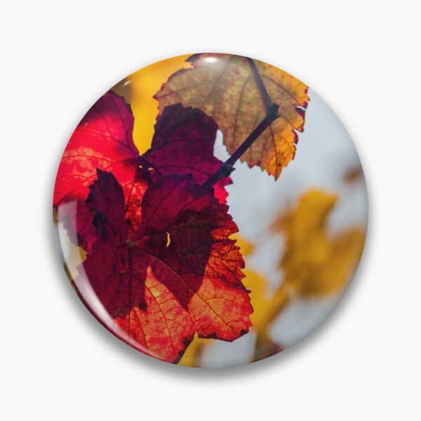 Item preview, Yellow and orange colors of autumn vineyards in Alsace designed and sold by Alexander Sorokopud.