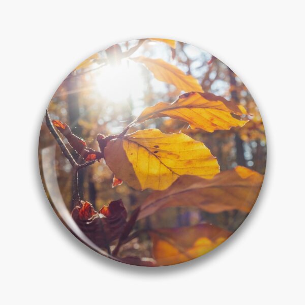 Item preview, The sun's rays make their way through the autumn multi-colored leaves designed and sold by Alexander Sorokopud.
