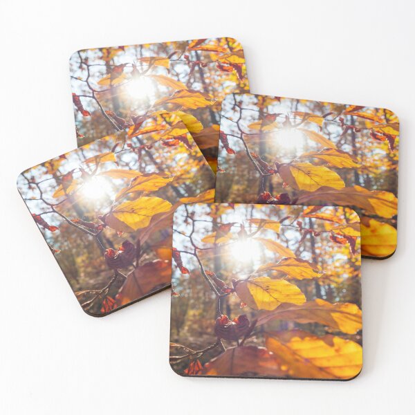 Item preview, The sun's rays make their way through the autumn multi-colored leaves designed and sold by Alexander Sorokopud.