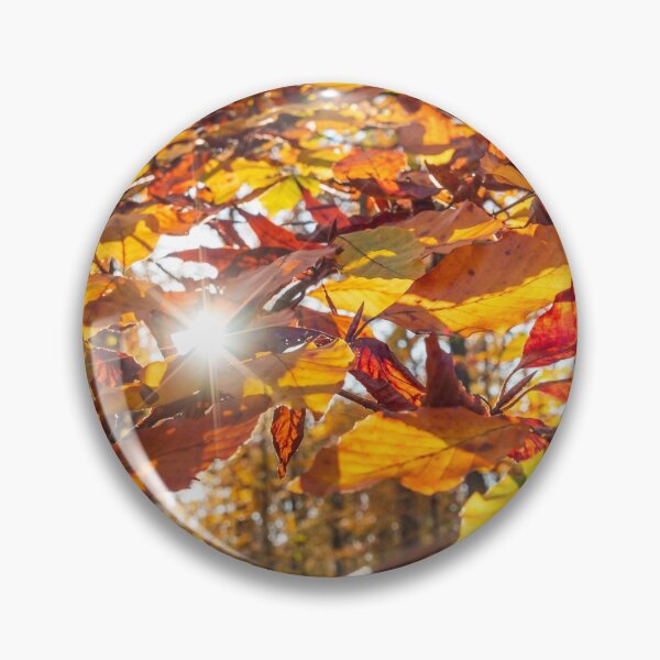 Item preview, The sun's rays make their way through the autumn multi-colored leaves designed and sold by Alexander Sorokopud.