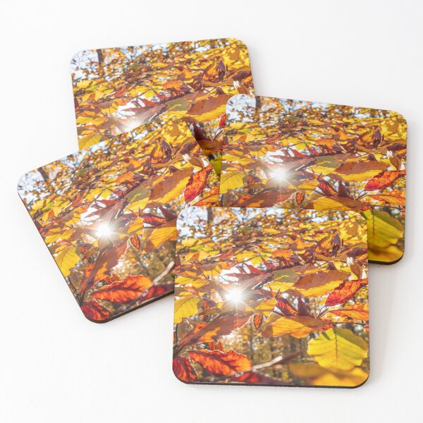Item preview, The sun's rays make their way through the autumn multi-colored leaves designed and sold by Alexander Sorokopud.