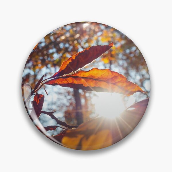 Item preview, The sun's rays make their way through the autumn multi-colored leaves designed and sold by Alexander Sorokopud.