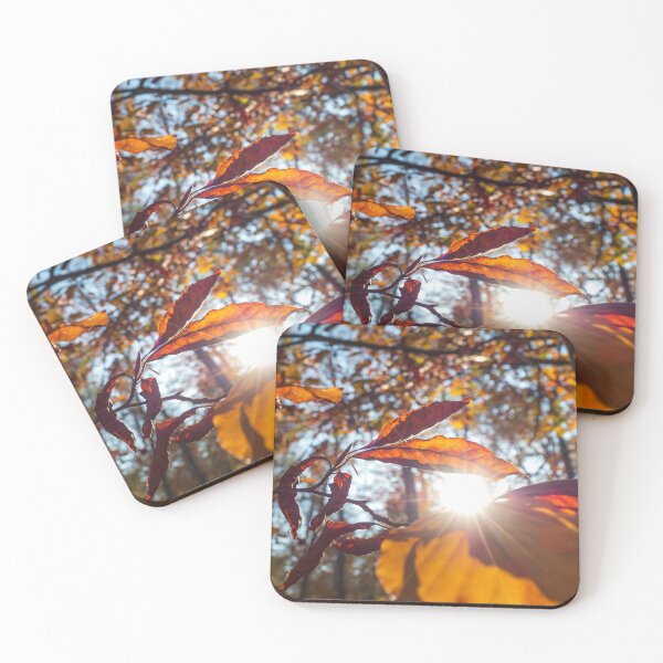 Item preview, The sun's rays make their way through the autumn multi-colored leaves designed and sold by Alexander Sorokopud.