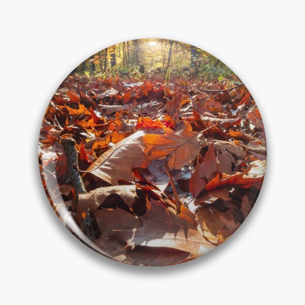 Item preview, The sun's rays make their way through the autumn multi-colored leaves designed and sold by Alexander Sorokopud.