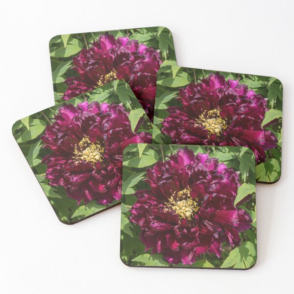 Item preview, Garnet Colored Ruffles and Gold Dust - One Very Showy Tree Peony Bloom designed and sold by Georgia Mizuleva.