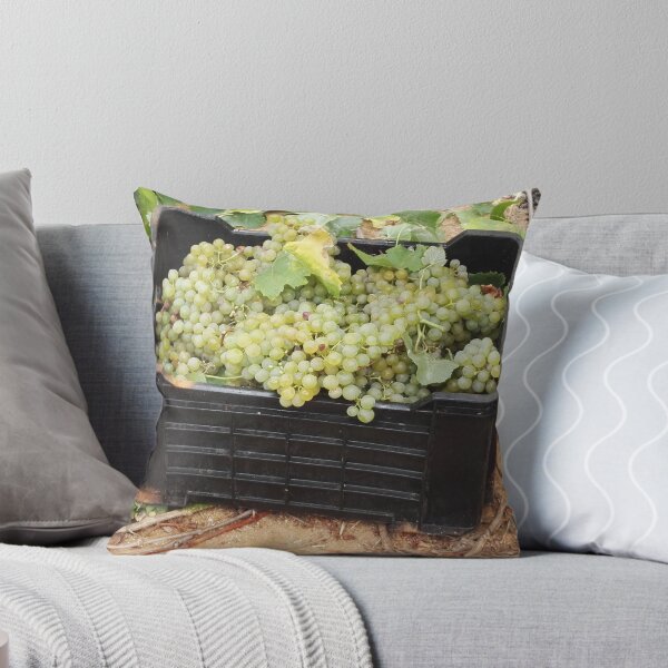 Item preview, Chenin Blanc grape harvest in South Africa designed and sold by wineandwords.