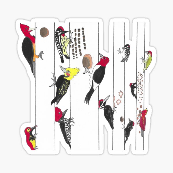 Twelve Woodpeckers Pecking (Tree Drums) Sticker