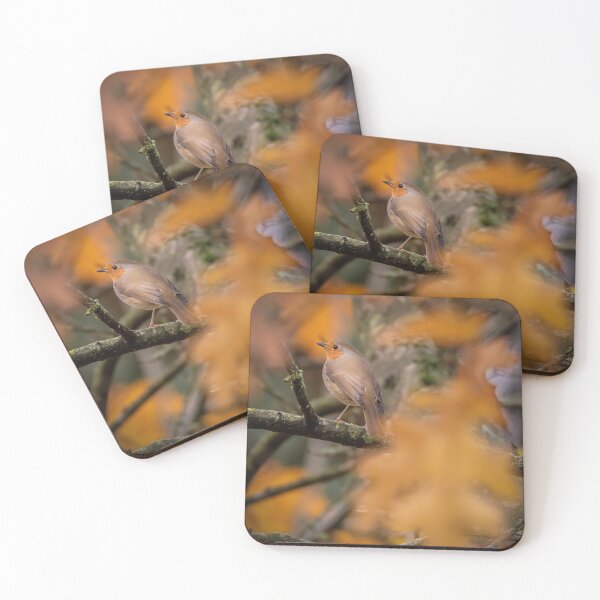 Item preview, An Autumn Robin designed and sold by PhotographMassa.