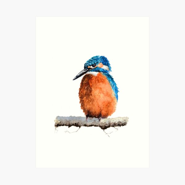 Watercolour Kingfisher sitting on Tree Branch Art Print